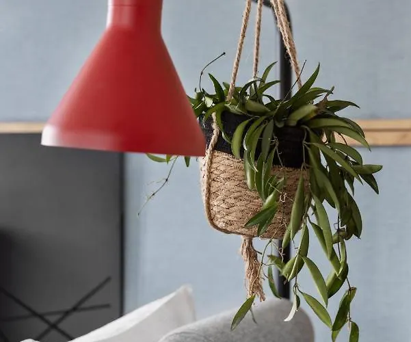 Hotel Kooook - Online Check In Bern