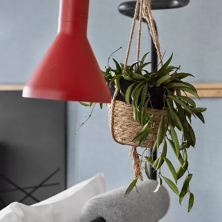 Hotel Kooook - Online Check In Berna