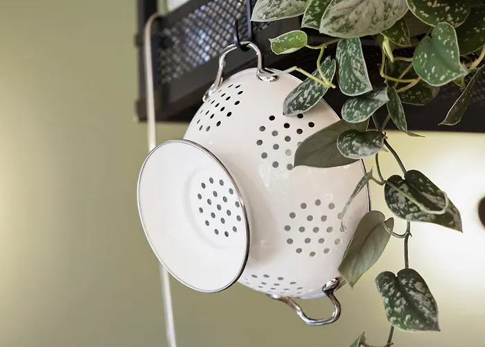 Kooook - Online Check In ベルン